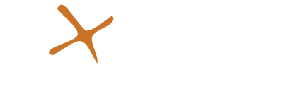 logo boxspringspecialist
